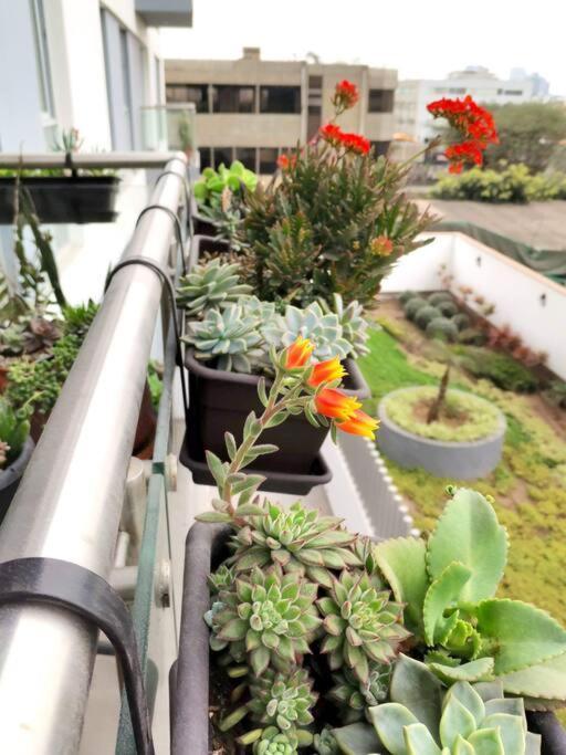 Apartamento Departamento Encantador Centrico Con Balcon